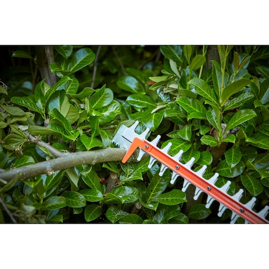 BLACKDECKER hedge trimmer BCHTS3620L1 cutting thick branch against green leafy bush.