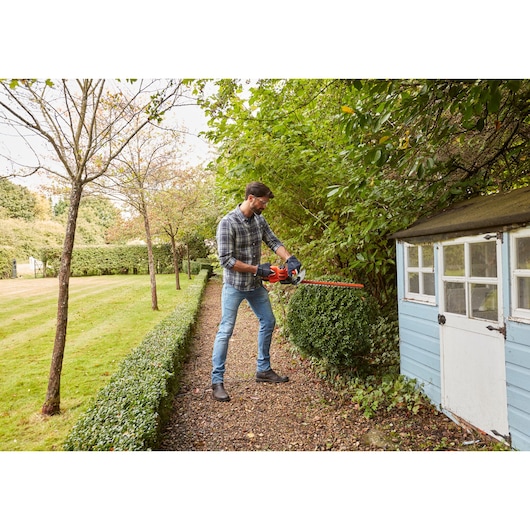 Man trimming garden hedge with BLACKDECKER BEHT201 hedge trimmer near blue shed in a yard.